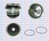 AQUAPLUS 85-6220 Water Pump